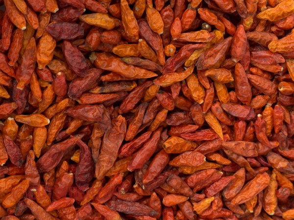 Chili Bird Eye, im Ganzen